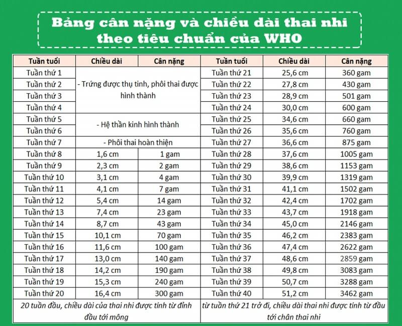 bảng cân nặng chuẩn của thai nhi