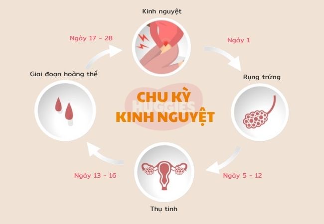 Ra máu trước kỳ kinh do rụng trứng