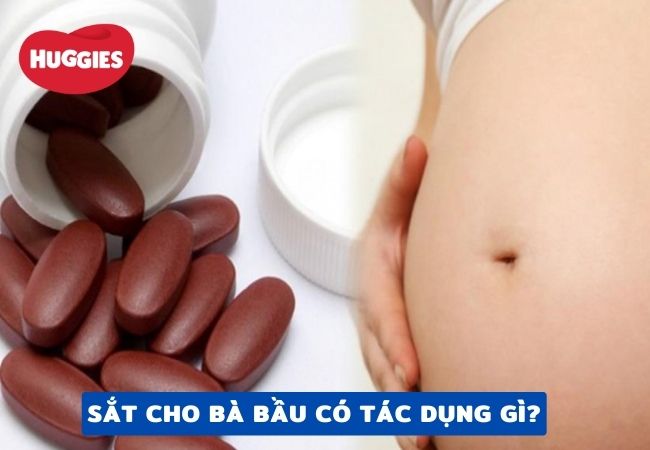 Sắt có vai trò quan trọng trong việc tạo hồng cầu, giúp tăng cường sức đề kháng