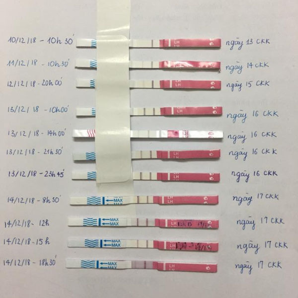 Dùng que thử rụng trứng sinh con trai dựa trên phương pháp nghiên cứu Shettles