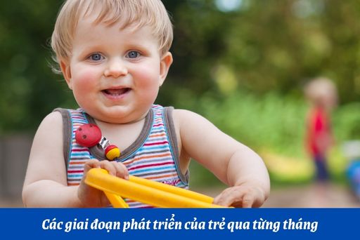 Phát triển của bé qua từng tháng