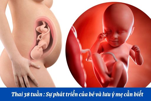 Những thay đổi thai nhi tuần thứ 38