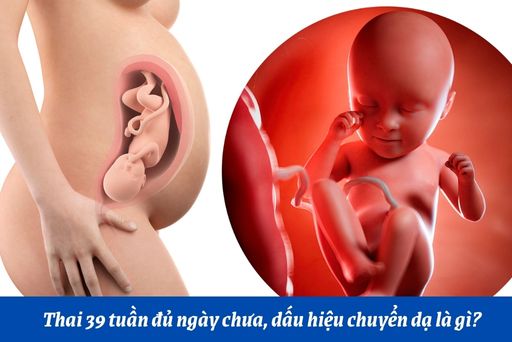 Những thay đổi thai nhi tuần thứ 39