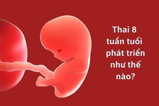 Những thay đổi của thai nhi tuần thứ 8