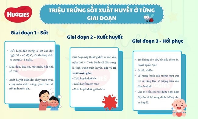 Triệu chứng sốt xuất huyết ở từng giai đoạn