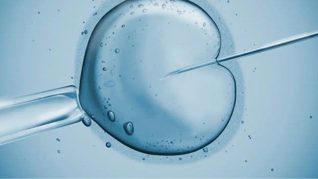 Ý nghĩa của cách tính tuổi thai IVF