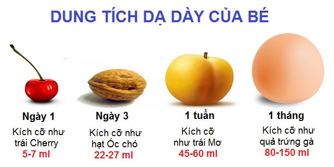 Kích thước dạ dày của trẻ sơ sinh