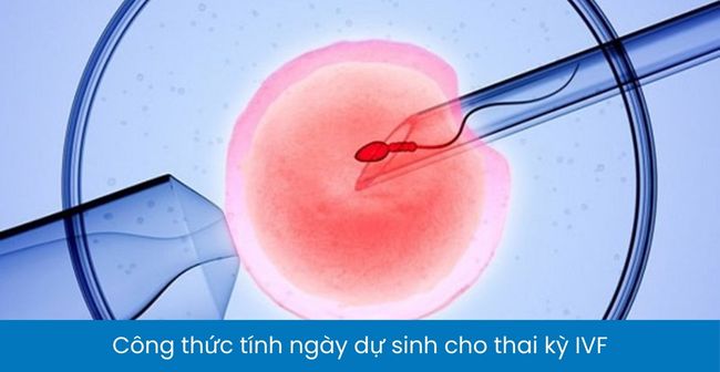 Cách tính ngày dự sinh theo thời điểm thụ thai