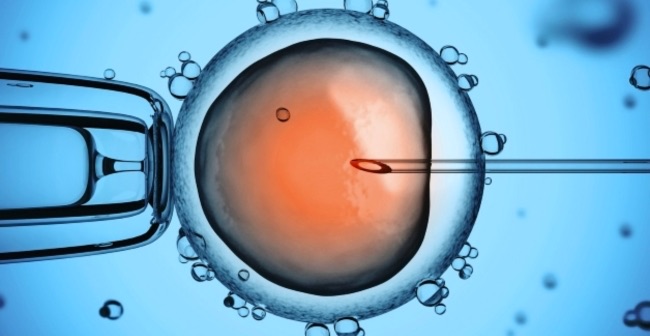 Cách tính tuổi thai IVF