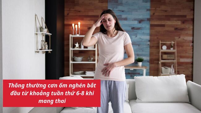 Ốm nghén thường bắt từ từ tuần thứ 6 - 8 của thai kỳ