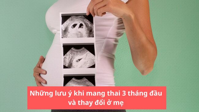 Mang thai 3 tháng đầu nên lưu ý gì?