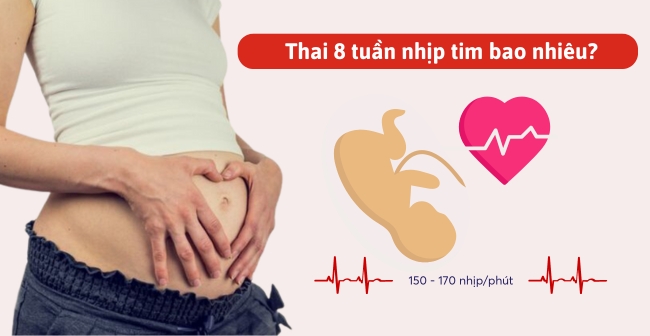 Thai 8 tuần nhịp tim bao nhiêu là bình thường?