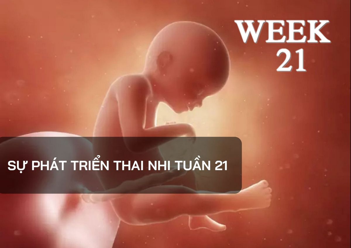 Những thay đổi của thai nhi tuần thứ 21