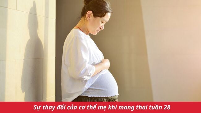 Sự thay đổi của cơ thể mẹ khi mang thai tuần 28