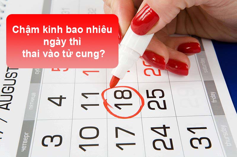 Chậm kinh bao nhiêu ngày thì thai vào tử cung Chậm kinh bao nhiêu ngày thì thai vào tử cung